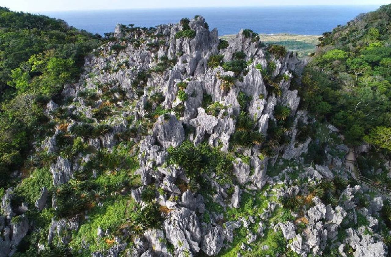 Okinawa Churaumi TokuToku Pass - image 3