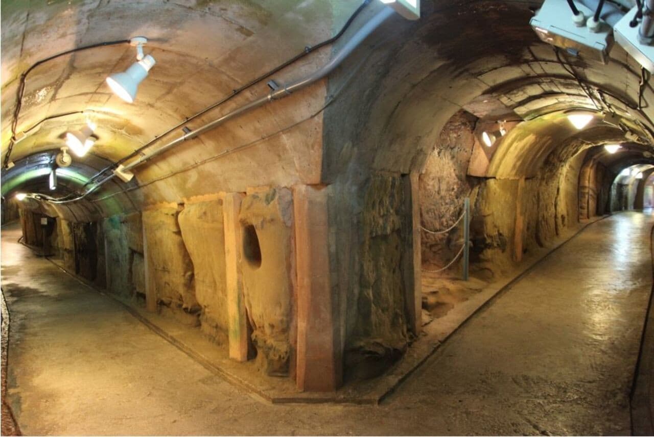 Okinawa Churaumi TokuToku Pass - image 12